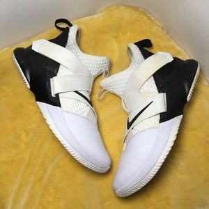 Lebron James Nike shoes